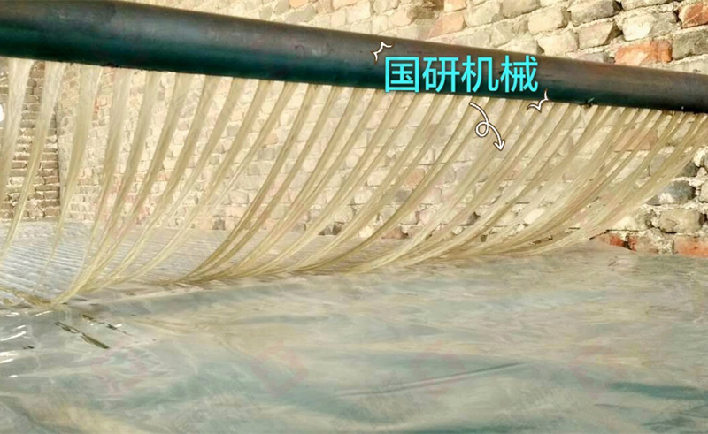 粉條1.jpg